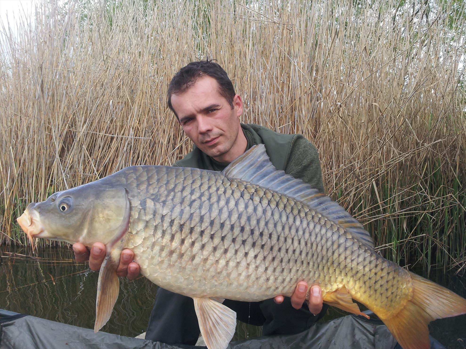 Tancabesti 11 - 12 apr. - 20000101030941.jpg